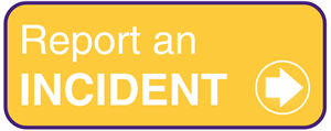 Link to a form where you can report an incident that violates the Dignity for All Students Act